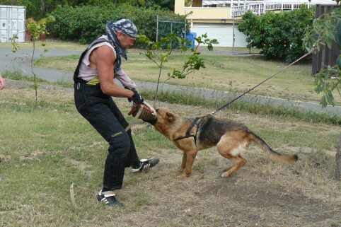 Seminar on Virgin Islands 2008